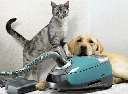 TOP 3 : Meilleur Aspirateur pour Poils d'Animaux 2020 